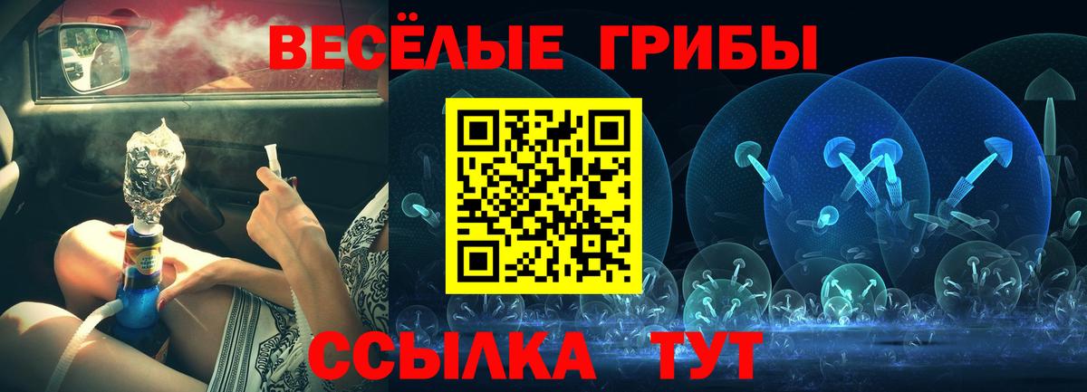 Галлюциногенные грибы Psilocybe Ликино-Дулёво